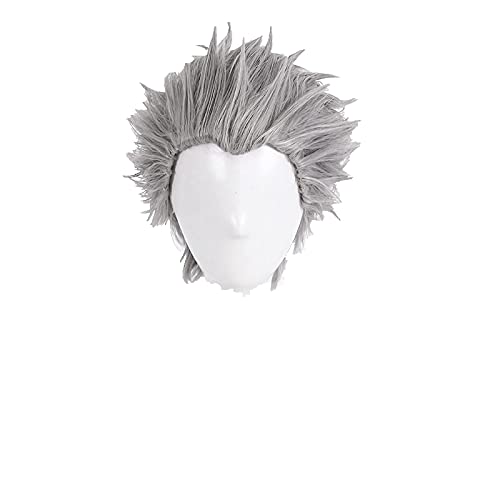 HBYLEE- Anime Coser Vergil Cosplay Perücke Kurzer Silbergrau Rucked-Back-Haar Hitzebeständige synthetische Haarperücke + Perücke-Kappe[Farbe:Onecolor] von HBYLEE