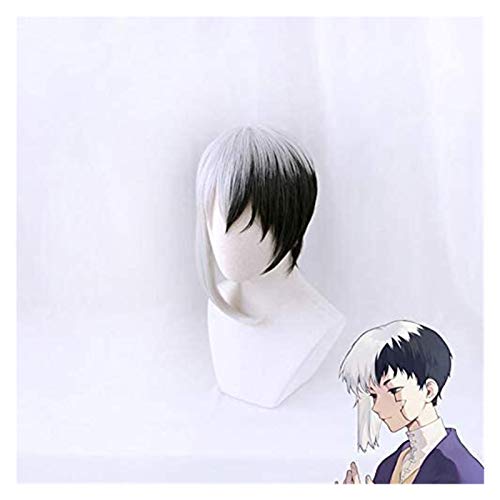 HBYLEE- Anime Coser Wig Anime dr. Stone Asagiri Gen Männer Kurze Perücken Cosplay Kostüm Hitzebeständiges Kunsthaar Perücken[Farbe:-] von HBYLEE
