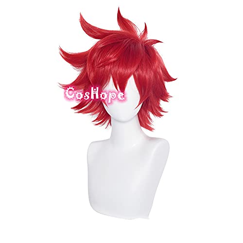HBYLEE Anime Coser pruik SK8 The Infinity Reki Cosplay Unisex Kurz 33cm Perücke Rote Perücke Cosplay Anime Cosplay Perücken Hitzebeständige synthetische Perücken Halloween[Farbe:nach Plan] von HBYLEE