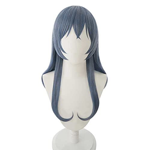 HBYLEE- Anime Cosplay Perücke für Asahi Rokka Perücke,Gray Blue Long Perücke Synthetisches Haar,Halloween Kostüm Perücke,für Party Karneval Weihnachten[Farbe:blue] von HBYLEE
