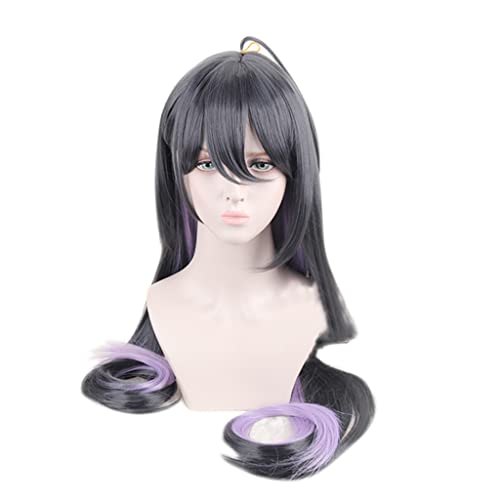 HBYLEE- Anime Cosplay Perücke für Jinguji Jakurai Perücke,Black and Purple Long Straight Perücke Synthetisches Haar,Halloween Kostüm Perücke,für Party Karneval Weihnachten[Farbe:Black] von HBYLEE