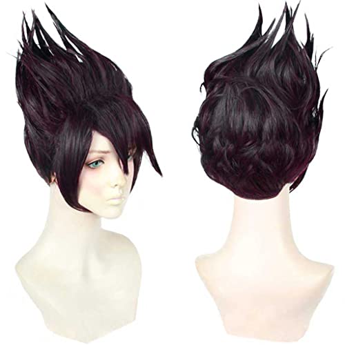 HBYLEE-Anime Cosplay Perücke für Kaito Momota Perücke,Short Purple Perücke Synthetisches Haar,Halloween Kostüm Perücke,für Party Karneval Weihnachten[Farbe:Purple ] von HBYLEE