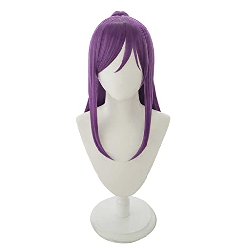 HBYLEE- Anime Cosplay Perücke für Kaoru Seta Perücke,Purple Long Ponytail Perücke Synthetisches Haar,Halloween Kostüm Perücke,für Party Karneval Weihnachten[Farbe:Purple ] von HBYLEE