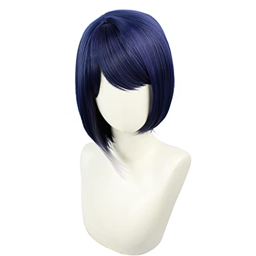 HBYLEE- Anime Cosplay Perücke für Kujo Sara Perücke,Dark Blue Short Perücke Synthetisches Haar,Halloween Kostüm Perücke,für Party Karneval Weihnachten[Farbe:blue] von HBYLEE