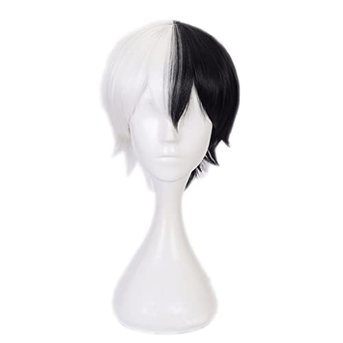 HBYLEE- Anime Cosplay Perücke für Monokuma Perücke,Black and White Perücke Synthetisches Haar,Halloween Kostüm Perücke,für Party Karneval Weihnachten[Farbe:Purple ] von HBYLEE