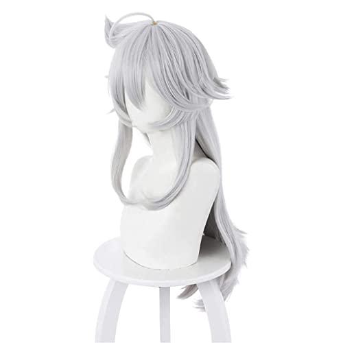 HBYLEE- Anime Cosplay Perücke für Razor Perücke,Long Silver Perücke Synthetisches Haar,Halloween Kostüm Perücke,für Party Karneval Weihnachten[Farbe:-] von HBYLEE