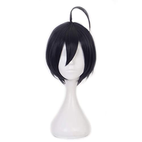 HBYLEE- Anime Cosplay Perücke für Saihara Shuichi Perücke,Short Blue Perücke Synthetisches Haar,Halloween Kostüm Perücke,für Party Karneval Weihnachten[Farbe:blue] von HBYLEE