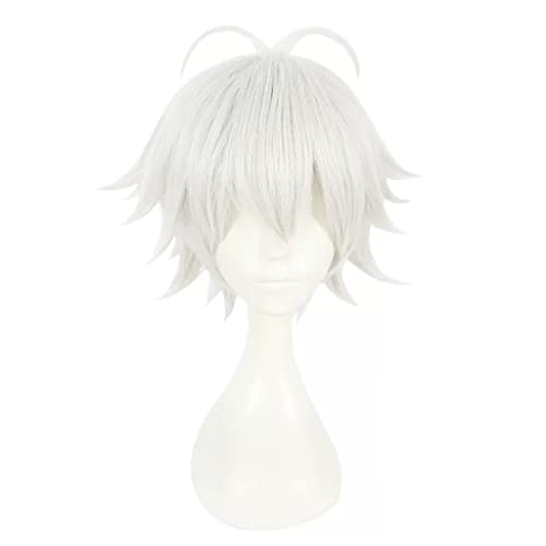 HBYLEE- Anime Cosplay Perücke für Samatoki Aohitsugi Perücke,Short Silver White Perücke Synthetisches Haar,Halloween Kostüm Perücke,für Party Karneval Weihnachten[Farbe:Silver White ] von HBYLEE