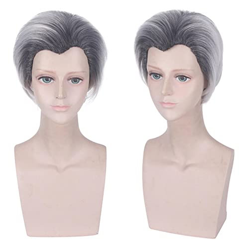 HBYLEE-Anime Descendants 2 Carlos Short Wig Cosplay Costume Men Women Heat Resistant Synthetic Hair Party Role Play Wigs[Farbe:carlos] von HBYLEE