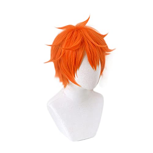 HBYLEE- Anime Haikyuu !! Hinata Shoyo Cosplay Kurze orangefarbene Perücke Haikyu hitzebeständige Faserhaare + Wig-Kappe Anime Party Rollenspiel for Erwachsene[Farbe:-] von HBYLEE