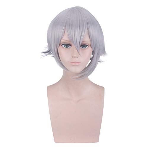 HBYLEE-Anime Role Play For Fgo Lang Lin Wang Wig Silver Gray Hair Wig Fate Grand Order Apocrypha Cosplay Wig 35cm[Farbe:Silver Gray] von HBYLEE