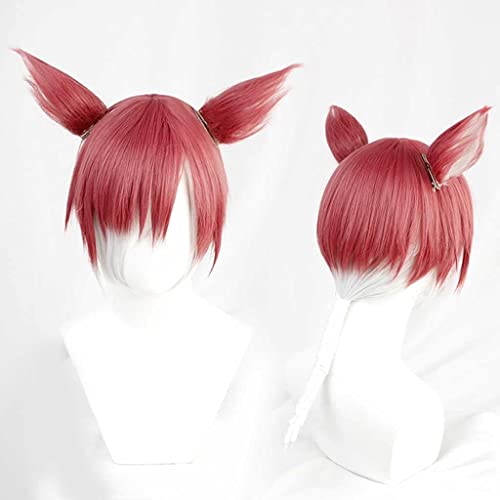 HBYLEE-HGLLL AniCosplay Wig, XIV FF14 G'raha Tia Cosplay Wig,with ears Long Wig,with Free Wig Cap,for Christmas Carnival party Halloween Cosplay Wig[Farbe:-] von HBYLEE