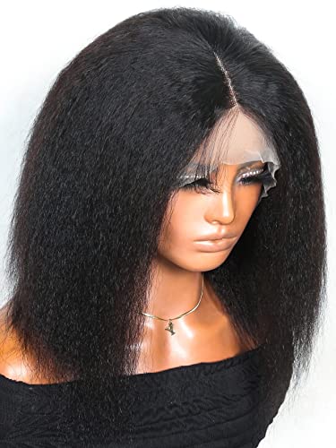 HBYLEE Human Lace Wigs 13 * 6 * 1 Lace Front Short Afro Straight Human Hair Wig for Black Women ，Farbe：150Density 13 * 6 * 1/Größen：6 Inch von HBYLEE