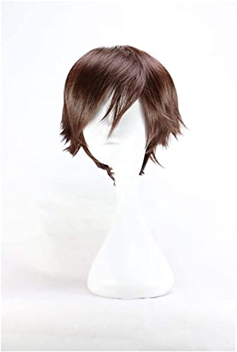 HBYLEE- Männer Kurze Kostüm Cosplay Jungen Dunkelbraun 32 cm hitzebeständige synthetische Haarperücken[Farbe:Braun] von HBYLEE