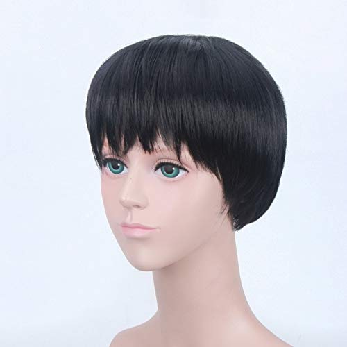 HBYLEE- Neue Ankunft YURI auf ICE Cosplay Perücke Katsuki Yuuri Victor Nikiforov Yuri Plisetsky Kurze Kunsthaarperücken Für Männer Perucas 30 cm Schwarz[Farbe:Schwarz] von HBYLEE