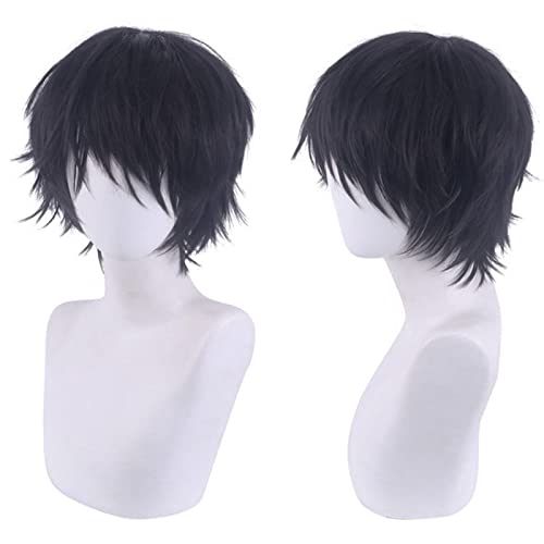 HBYLEE-Role Play Wig For Jujutsu Kaisen Toji Fushiguro Cosplay Black Wig Toji Zenin Halloween Hair[Farbe:Black] von HBYLEE