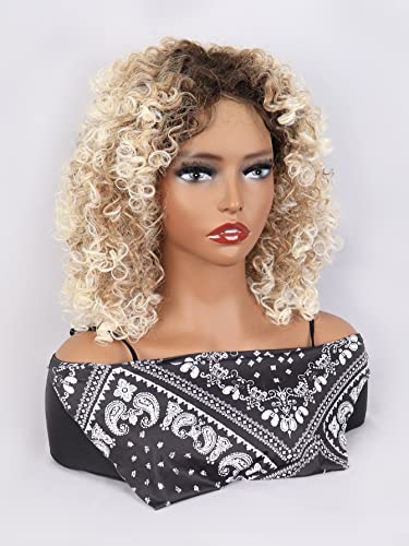 HBYLEE Synthetic Wig for Women Girl T-Part Lace Front Short Afro Curly Synthetic Wig Extensions Hairpieces For Party，Farbe：Multicolor/Größen：14 inch von HBYLEE