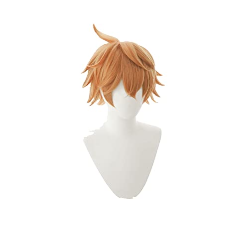 HBYLEE-Tartaglia Childe Cosplay Wig Genshin Impact Cosplay Orange Heat Resistant Synthetic Hair Tartaglia Halloween Cosplay[Farbe:-] von HBYLEE