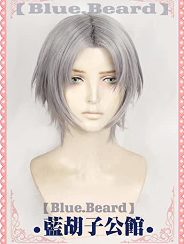 HBYLEE- Vitale V Nero Dante Vergil Mary Lady Nicoletta Goldstein Nikoretta Hitzebeständige Haarsplay Kostüm Perücken + Perücke Cap Vergi Lwig [Farbe:Dantewig] von HBYLEE