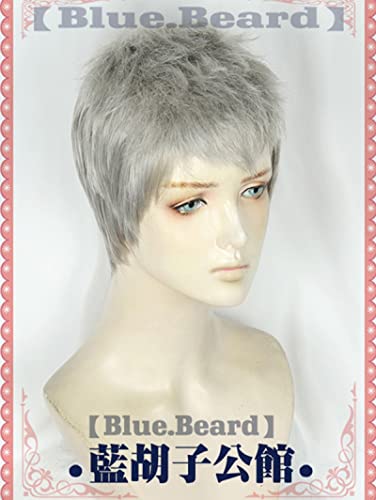 HBYLEE- Vitale V Nero Dante Vergil Mary Lady Nicoletta Goldstein Nikoretta Hitzebeständige Haarsplay Kostüm Perücken + Perücke Cap Vergi Lwig [Farbe:Nerowig] von HBYLEE