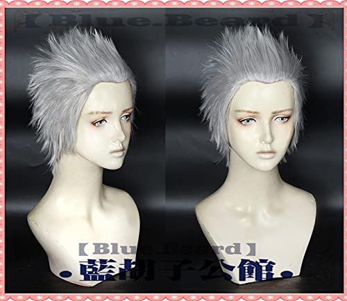 HBYLEE- Vitale V Nero Dante Vergil Mary Lady Nicoletta Goldstein Nikoretta Hitzebeständige Haarsplay Kostüm Perücken + Perücke Cap Vergi Lwig [Farbe:Vergilwig] von HBYLEE