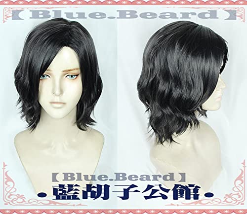 HBYLEE- Vitale V Nero Dante Vergil Mary Lady Nicoletta Goldstein Nikoretta Hitzebeständige Haarsplay Kostüm Perücken + Perücke Cap Vergi Lwig [Farbe:Vwig1] von HBYLEE