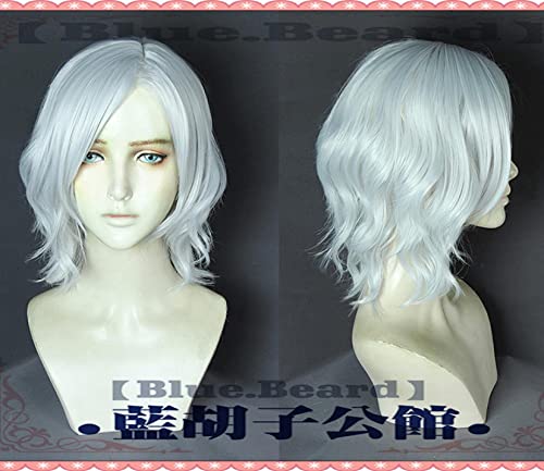 HBYLEE- Vitale V Nero Dante Vergil Mary Lady Nicoletta Goldstein Nikoretta Hitzebeständige Haarsplay Kostüm Perücken + Perücke Cap Vergi Lwig [Farbe:Vwig2] von HBYLEE