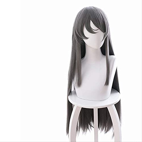 HBYLEE- Wig Anime Cosplay Adolescent Fool Doesn't Dream of A Bbunny Girl Schoolmate Sakurajima Mai Dark Gray and Straight Cosplay Anime Wig[Farbe:Onecolor] von HBYLEE