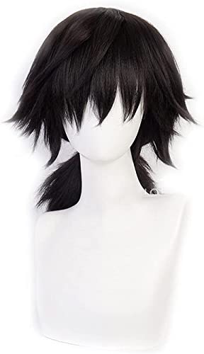 HBYLEE- Wig Anime Cosplay Cosplay Kimetsu no Yaiba Tomioka Giyuu Schwarzes Pferdeschwanzhaar Hitzebeständige synthetische Männer-Frauen-Kostüm-Perücken[Farbe:schwarze] von HBYLEE