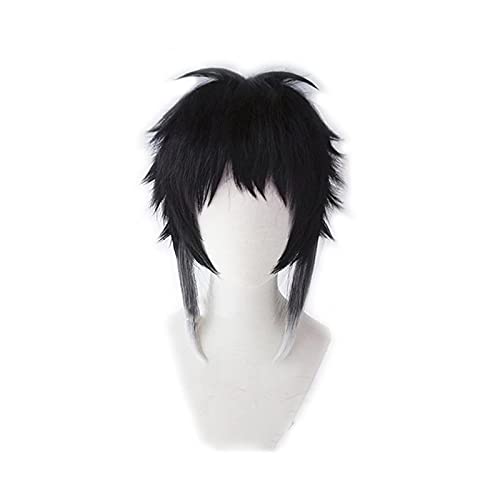 HBYLEE- Wig Anime Cosplay Cosplay Wig Anime Bungo Stray Dogs Ryunosuke Akutagawa Short Black with White Heat Resistant Synthetic Hair Cosplay Costume Wigs[Farbe:Black] von HBYLEE