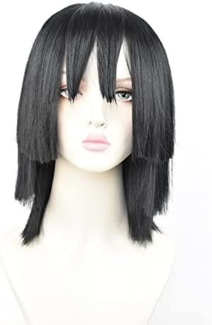 HBYLEE-Wig Anime Cosplay Ghost Vernichtung der Klinge Cosplay Perücke I Schwarze kleine Bane Schlangensäule DREI Schichten getrimmt Dicker Kunsthaar Anime Charaktere Farbe reines Schwarz von HBYLEE