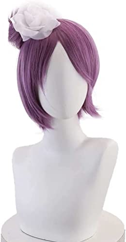 HBYLEE- Wig Anime Cosplay Konan Cosplay Perücke Herren Damen Cosplay Perücken Halloween Weihnachten, Karneval? Dunkellila Kurze gerade Perücke[Farbe:Onecolor] von HBYLEE