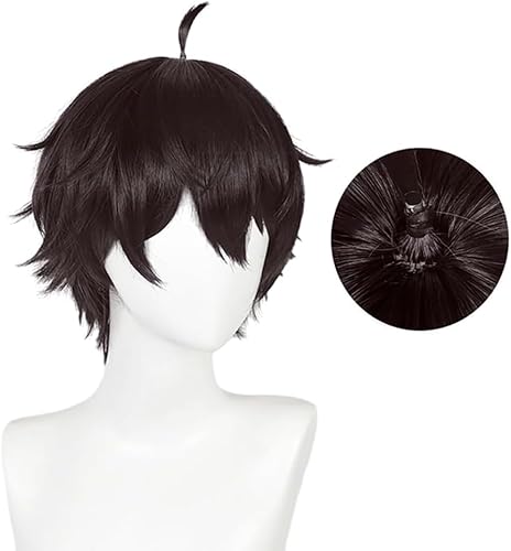 HBYLEE-Wig Anime Cosplay Perücke for Honkai Star Rail Blade Cosplay Perücke Männer Anime Party Dunkelblau Braun Rot Synthetische Haar Mit Ahoge [Farbe:] von HBYLEE