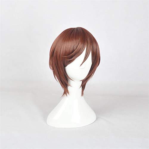 HBYLEE Wig Anime Cosplay Perücke for Rozen Maiden Souseiseki Cosplay Perücken Kunsthaar Hitzebeständiges Faserhaar Rozenmaiden Peruca Anime Perücke KUWS2996[Farbe:nach Plan] von HBYLEE