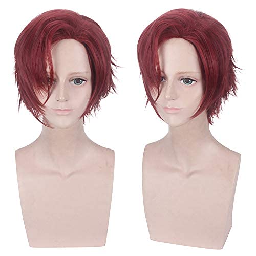 HBYLEE- Wig Anime Cosplay Wig for Halloween Fashion Christmas Party Dress Up Wig Cos Wig Mystery Asla/Julian Dvorak Color:Pl-598-1 Asila[Pink and White Color] [Farbe:Pl-598-2 Julian Dvorak] von HBYLEE