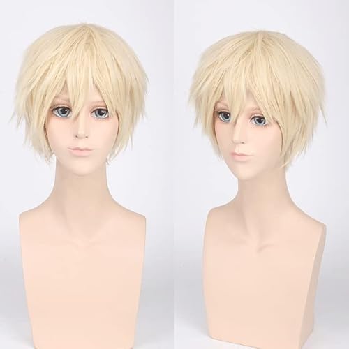 HBYLEE-Wig for cosplay Herren Synthetik Kurz Flauschig Rot Silber Grau Hell Golden Gelb Grün Rosa Lila Orange Weiß Universal Cosplay Perücke Pony wie das Bild von HBYLEE