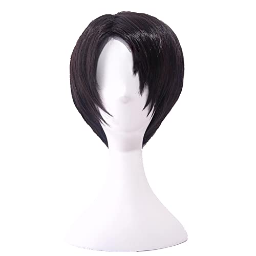 HBYLEE-Wig for cosplay Wig Anime Cosplay Rollenspiel for Attack on Titan Levi Ackerman Rivai Rivaille Cosplay Perücke kurz braun gemischt hitzebeständiges Kunsthaar von HBYLEE