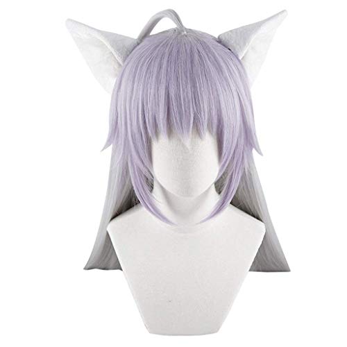 HBYLEE-Wig for cosplay anime cosplay perückeFate/Apocrypha Anime Cosplay Rose Net Perücken mit Pony 100% hochtemperaturbeständige Faser grau lila lange glatte Haare 40 Zoll von HBYLEE