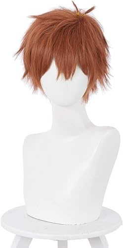 HBYLEEWig Anime Cosplay Kinoshita Kazuya Cosplay Perücke Anime Rent A Girlfriend Braune flauschige kurze hitzebeständige Kunsthaarperücken + Kappe[Farbe:One Color] von HBYLEE