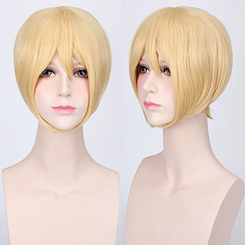 Perücke für Karneval Nachtleben CluI Party Dress Up Perücke Cosplay Perücke Mehrfarbig Universal Gesicht Kurzhaar Msn Schwarz und Weiß Kurzhaar Bobo Kopfbedeckung Perücke Farbe: K047-12 No. Prince von HBYLEE