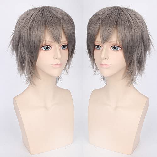 Wig Anime Cosplay Wig for Halloween Fashion Christmas Party Dress Up Wig Cos Wig Juvenile Reverse Warped Short Hair Color Universal Men'S Wig Cosplay Anime Wig Color:002-40 [Farbe:Pl-002-3# Grau] von HBYLEE