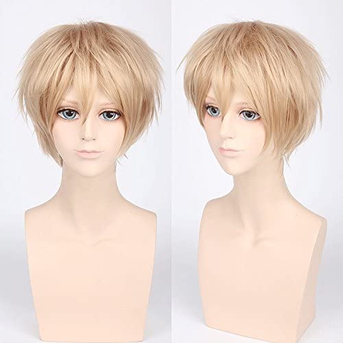 Wig Anime Cosplay Wig for Halloween Fashion Christmas Party Dress Up Wig Cos Wig Juvenile Reverse Warped Short Hair Color Universal Men's Wig Cosplay Anime Wig Color:002-40[Farbe:Pl-002-2# Leinen] von HBYLEE