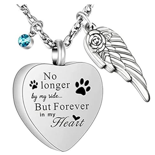 HDOYTXXM Herzflügel Designs Halskette Aus Edelstahl Für Asche Haare Oder Parfums Tragbare Gedenkschmuckstücke Alltag Denkmal Anhänger von HDOYTXXM