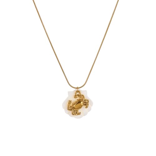 HDOYTXXM Leichtes Edelstahl Marine Charme Halskette Für Strandfeiern Summers Outfit Shell Seestarfishes Conch Design Einzigartige Muschelanhänger Halskette Für Tägliche Verschleiß von HDOYTXXM