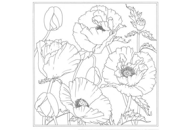 HDupont Seidenschal 3x Seidentuch 100% Seide - 90x90cm Mohn - Weiß DUPCARPW129C, H DUPONT HDupont Seidenschal 3x Seidentuch 100% Seide - 90x90cm Mohn - Weiß DUPCARPW129C, H DUPONT von HDupont