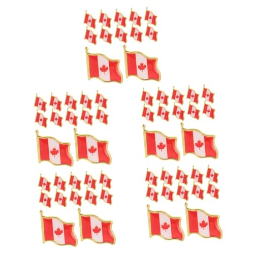 HEALEEP 5 Sätze Flagge Brosche Anstecker Metall Abzeichen Für Kleidung Haarschmuck Und Dekoration Für Und Besondere Anlässe 25 Stück * 5 von HEALEEP