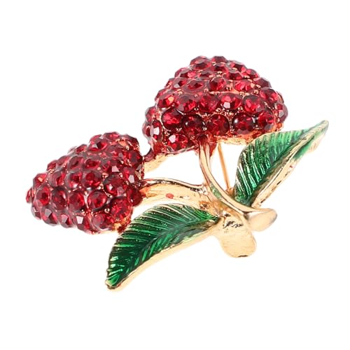 HEALEEP Strass Brosche Pin Erdbeere Damen Vintage Anstecknadel Luxuriös Schmuck Kleidungsaccessoire für Kleidung Taschen Hüte von HEALEEP