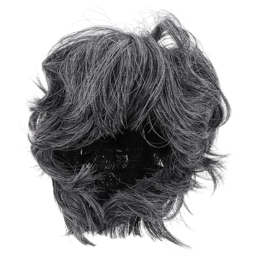 HEALSOPTHY Kurze Herrenperücke Cosplay Perücke Alter Mann Party Perücke Verstellbar Komfortabel Für Kostüme Auftritte von HEALSOPTHY