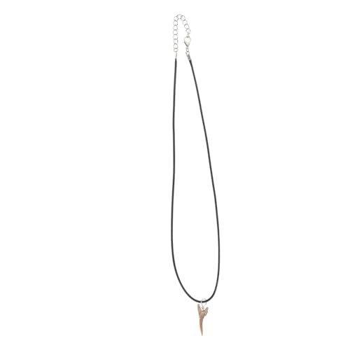 HEALSOPTHY Sharks Tooth Halskette Unisex Anhänger Natürlicher Kristall Fossil Schmuck für Damen und Herren Modisches für Strandliebhaber HEALSOPTHY Sharks Tooth Halskette Unisex Anhänger Natürlicher Kristall Fossil Schmuck für Damen und Herren Modisches für Strandliebhaber von HEALSOPTHY