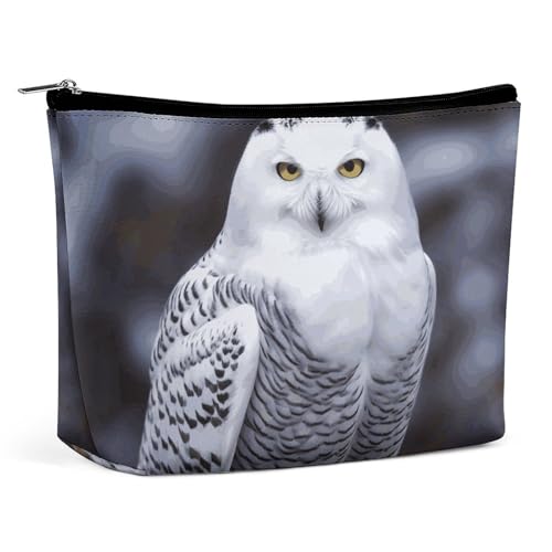 HEBVNJF Reise-Make-up-Tasche, tragbare Kosmetiktasche, blaue Musik-Make-up-Aufbewahrungstasche für Damen/Mädchen, Arktische Eule, Einheitsgröße von HEBVNJF